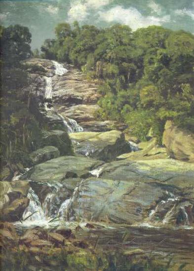 Nicolas-Antoine Taunay Small Cascade in Tijuca